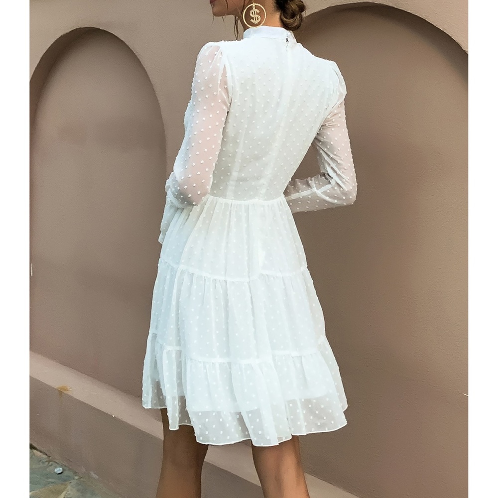 White Swiss Dot Ruffle Hem Fit & Flare Party Dress - Picture 3 of 8
